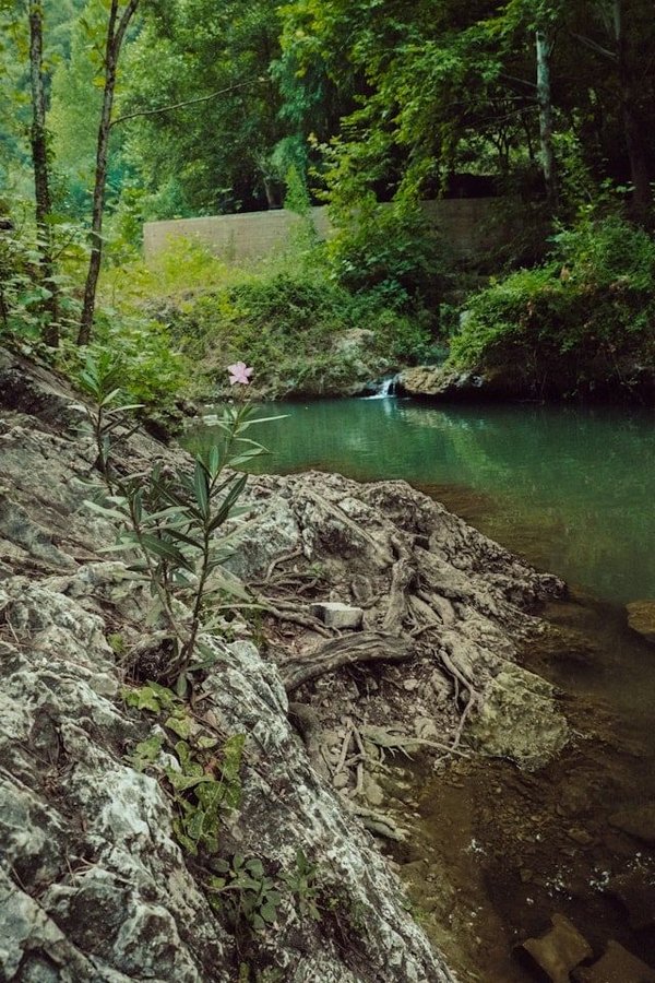 Quelle assurance pour les initiatives de sauvegarde des cours d'eau locaux ?