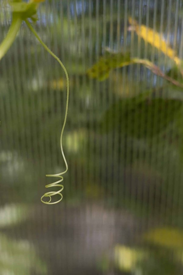 Comment les fonds d'investissement immobilier (REITs) s'adaptent-ils aux tendances du marché ?